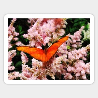 Butterflies - Julia Butterfly on Pink Flowers Sticker